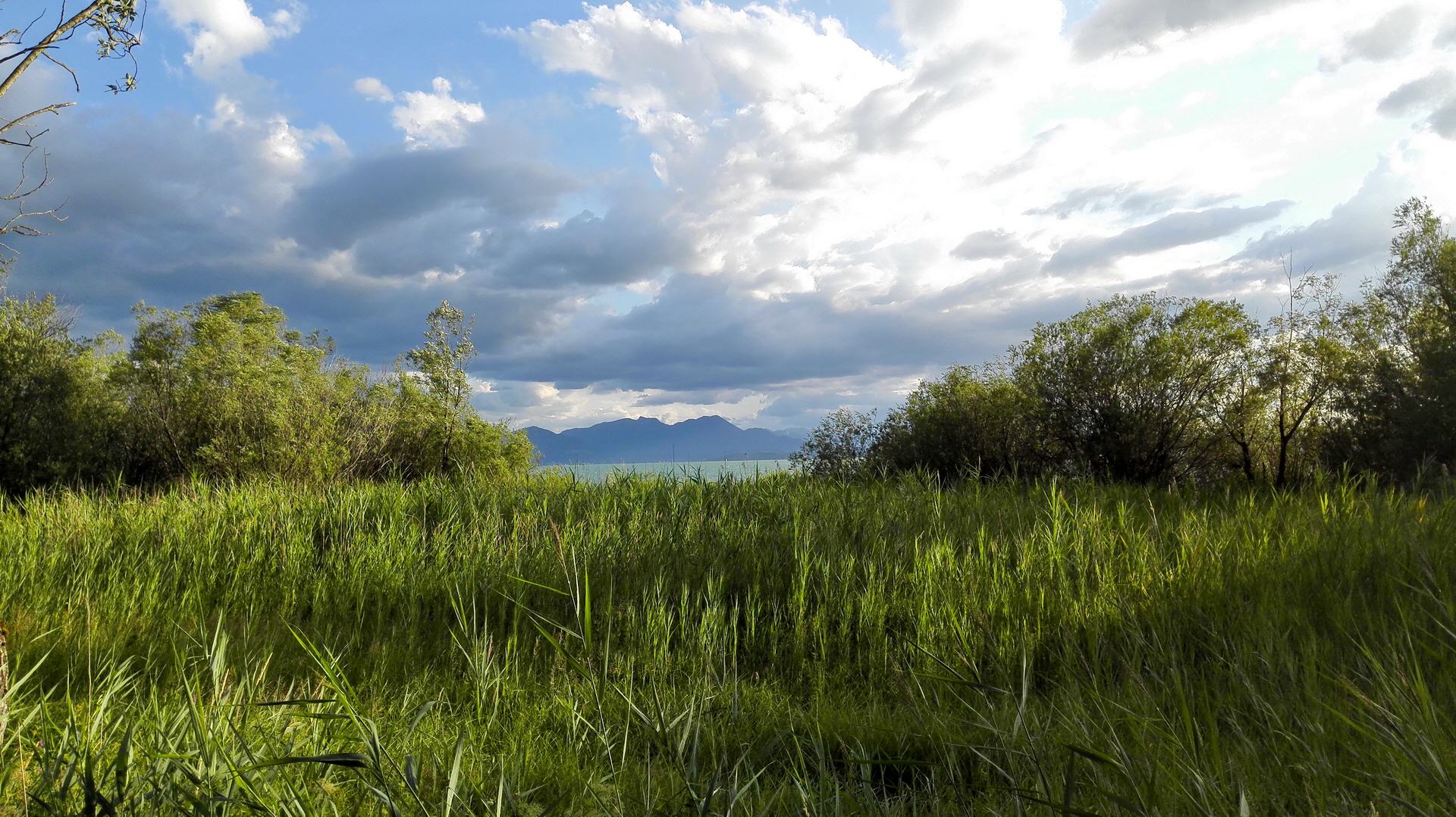 Chiemsee Rundweg