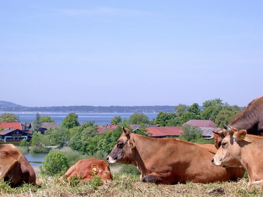 relaxen am Chiemsee