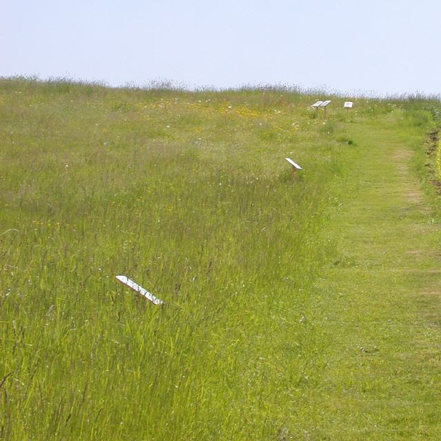 Wiesenkräuter Lehrpfad